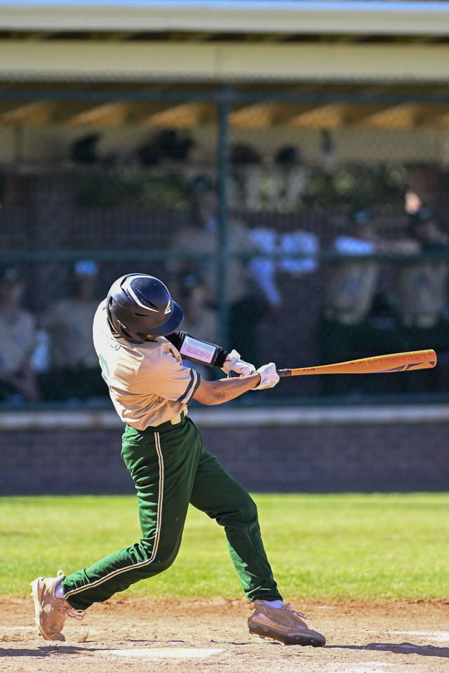 VHSBB_Forest-140.jpg