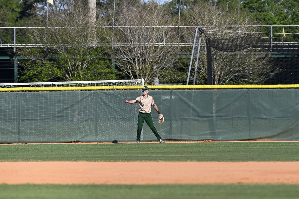 VHSBB_Forest-200.jpg