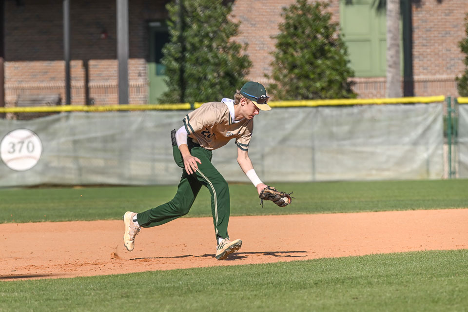 VHSBB_Forest-202.jpg