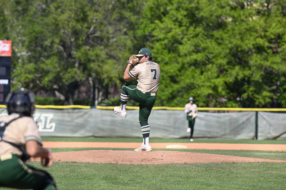VHSBB_Forest-45.jpg