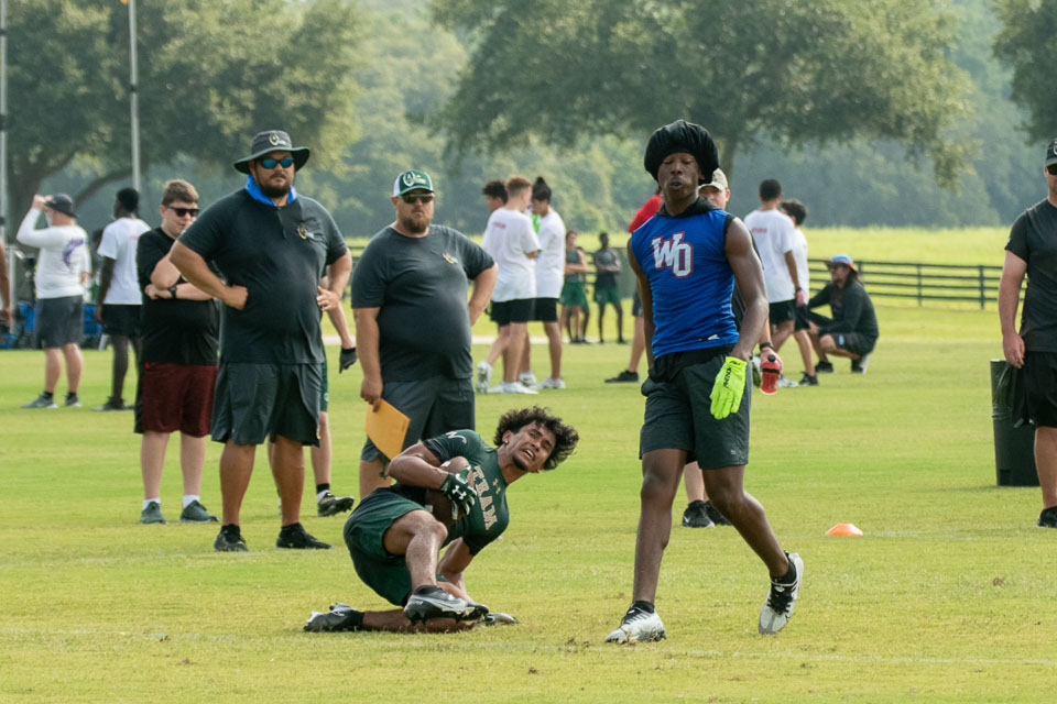 State7V7-122-Z.jpg