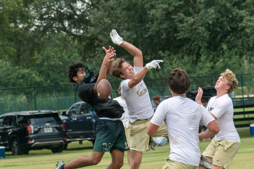 State7V7-263-Z.jpg