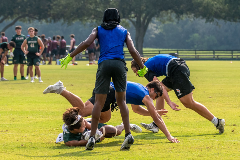 State7V7-72-Z.jpg