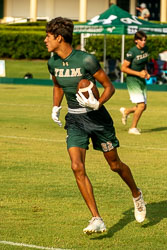 State7V7-6-Z.jpg