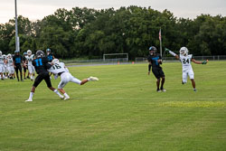 VHSFB_WesleyChapelZ7-59-Z.jpg