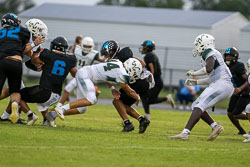 VHSFB_WesleyChapelZ9-211-Z.jpg