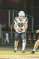 VHSFB_Wiregrass-5020.jpg