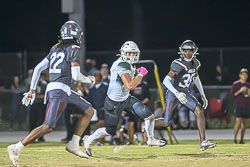 VHSFB_Wiregrass-5199.jpg
