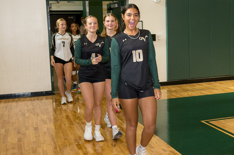 Meet the Buffalo Fall 2024