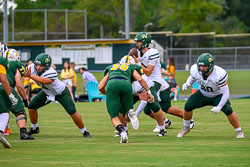VHSFB_Lecanto-45.jpg