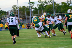 VHSFB_Lecanto-58.jpg