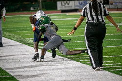 210204VHSFB_SouthLake.jpg