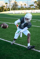 VHS Football Belleview