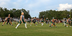 183153VHSFB_Citrus017.jpg