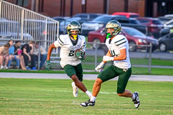190603VHSFB_Citrus066.jpg
