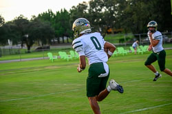 191153VHSFB_Citrus078.jpg