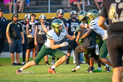 191634VHSFB_Citrus081.jpg