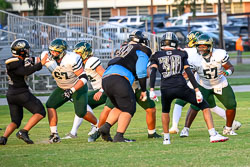 192141VHSFB_Citrus088.jpg