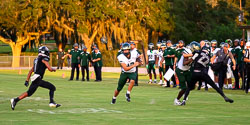 192256VHSFB_Citrus090.jpg