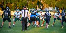 192440VHSFB_Citrus091.jpg