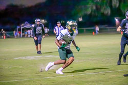 202136VHSFB_Citrus175.jpg