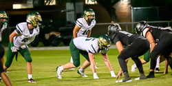 205050VHSFB_Citrus180.jpg