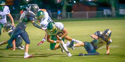 210727VHSFB_Citrus186.jpg