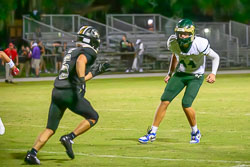 211515VHSFB_Citrus193.jpg