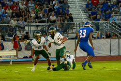 201307VHSFB_Harmony141.jpg