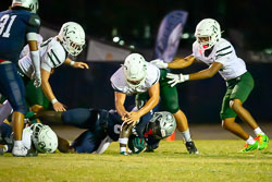 210542VHSFB_SouthLake131.jpg