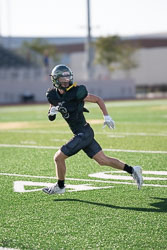 VHSFB_ZephyrlHills-35.jpg