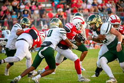 VHS Football Tavares