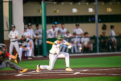 VHS Baseball Horoizon