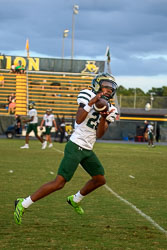 185237VHSBB_Lecanto040.jpg