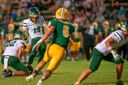194733VHSBB_Lecanto156.jpg