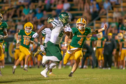 195341VHSBB_Lecanto166.jpg