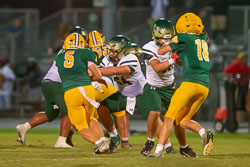 200324VHSBB_Lecanto178.jpg