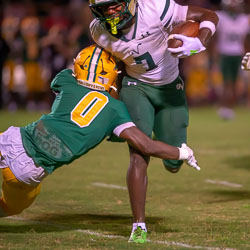 200606VHSBB_Lecanto180.jpg