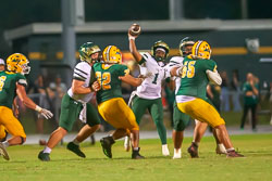 201325VHSBB_Lecanto188.jpg