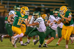201756VHSBB_Lecanto193.jpg