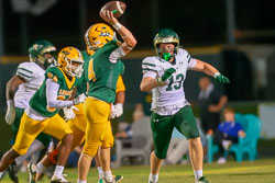 202040VHSBB_Lecanto198.jpg