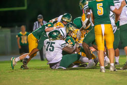 202647VHSBB_Lecanto211.jpg