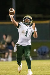 203302VHSBB_Lecanto220.jpg