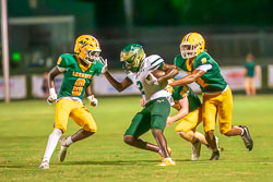 203535VHSBB_Lecanto224.jpg