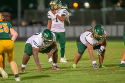 213334VHSBB_Lecanto266.jpg