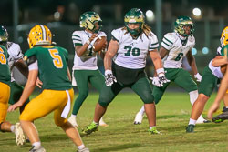 213422VHSBB_Lecanto267.jpg