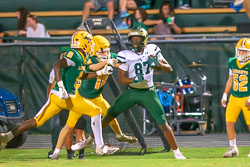 213426VHSBB_Lecanto268.jpg