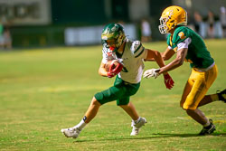 213529VHSBB_Lecanto270.jpg