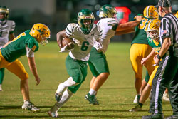 213659VHSBB_Lecanto274.jpg