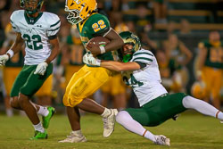 214142VHSBB_Lecanto289.jpg